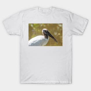 Wood stork in  wildlife preserve T-Shirt